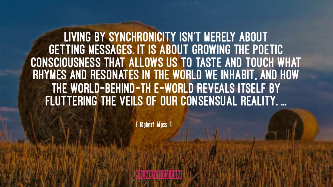 Synchronicity quotes by Robert Moss