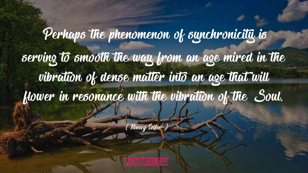 Synchronicity quotes by Nancy Seifer
