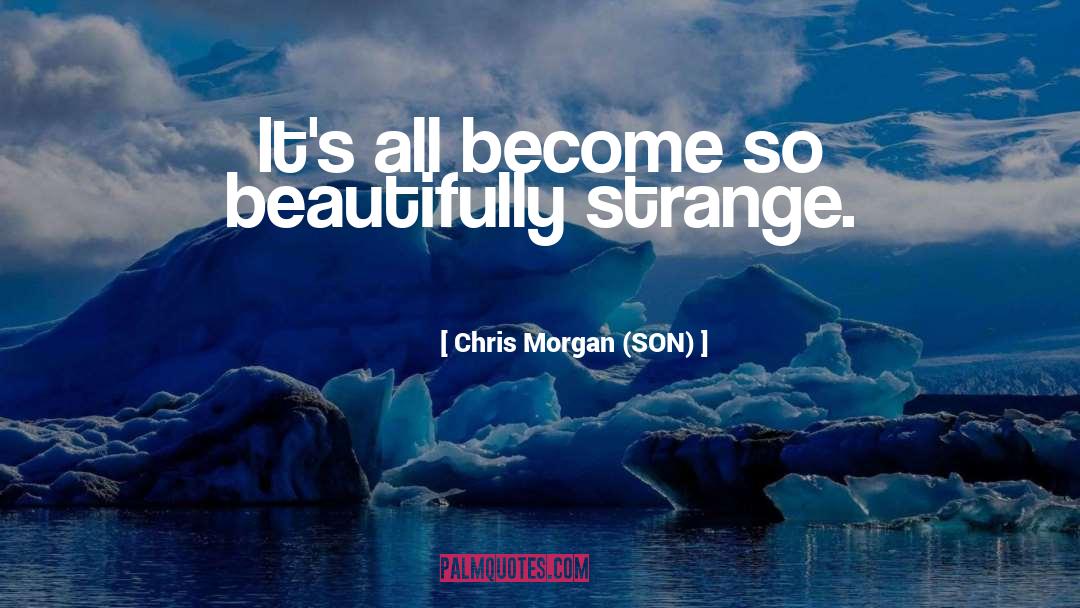 Synchronicity quotes by Chris Morgan (SON)