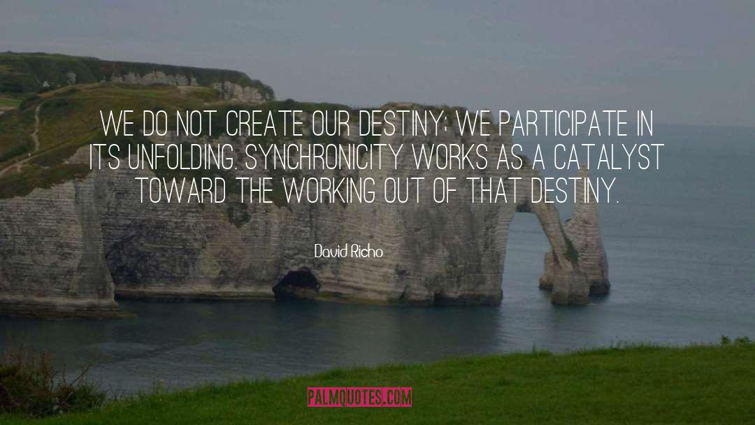 Synchronicity quotes by David Richo