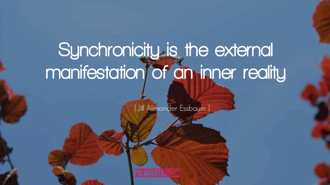 Synchronicity quotes by Jill Alexander Essbaum