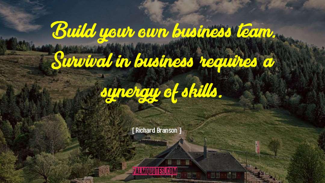 Synergy quotes by Richard Branson