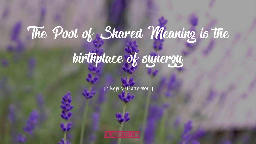 Synergy quotes by Kerry Patterson