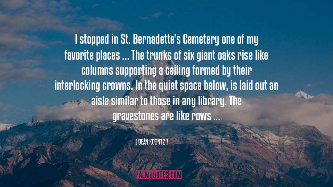 Synnes Cemetery quotes by Dean Koontz