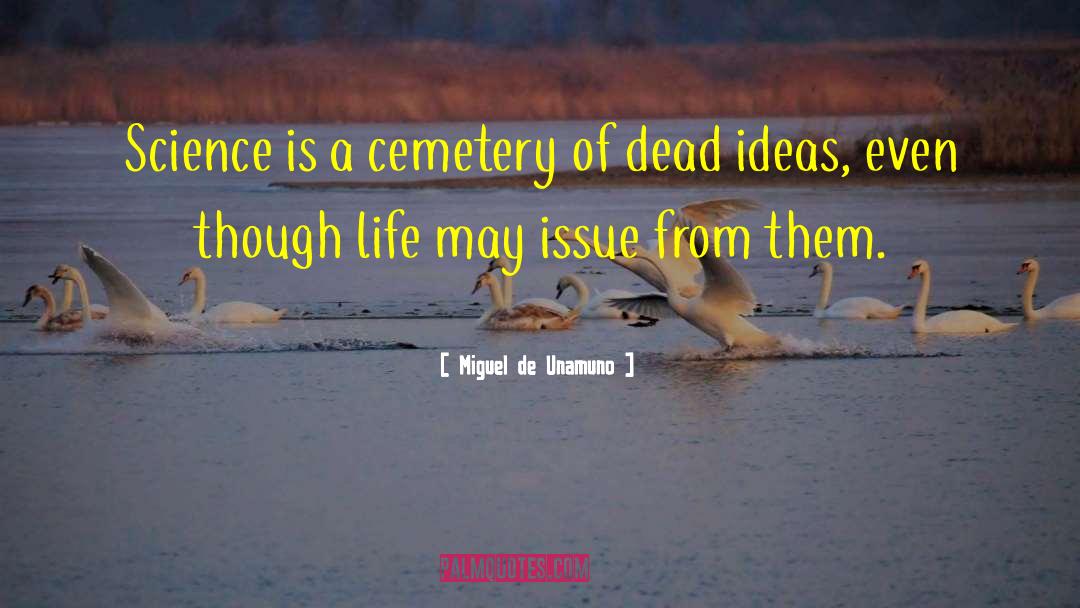 Synnes Cemetery quotes by Miguel De Unamuno