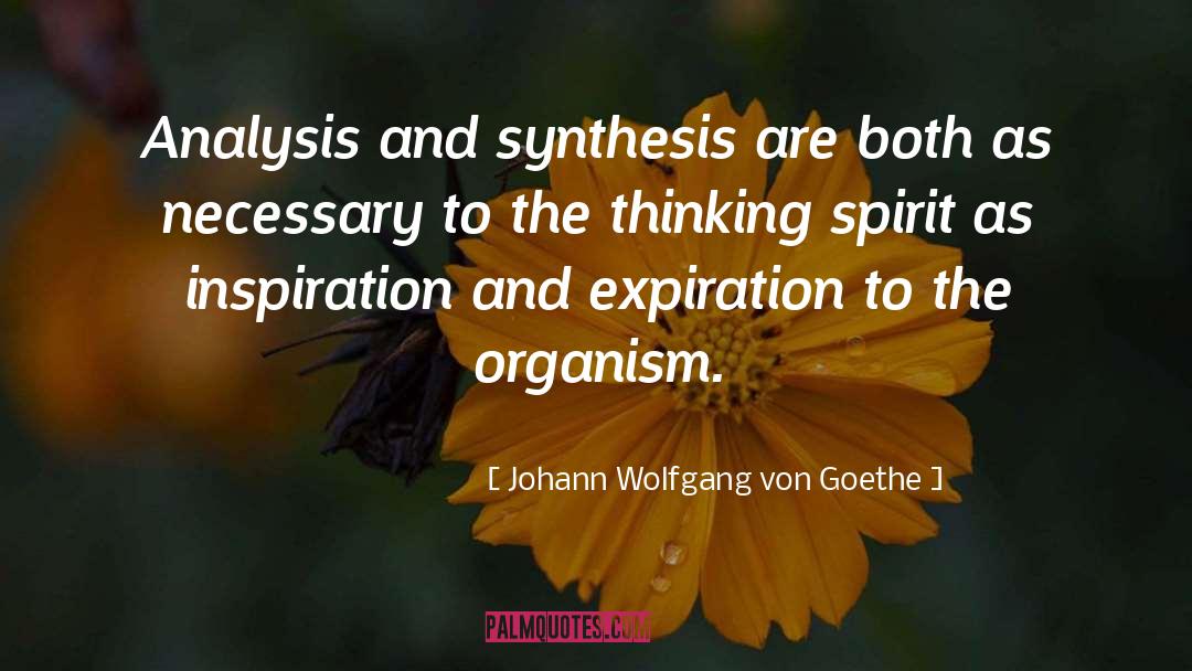 Synthesis quotes by Johann Wolfgang Von Goethe