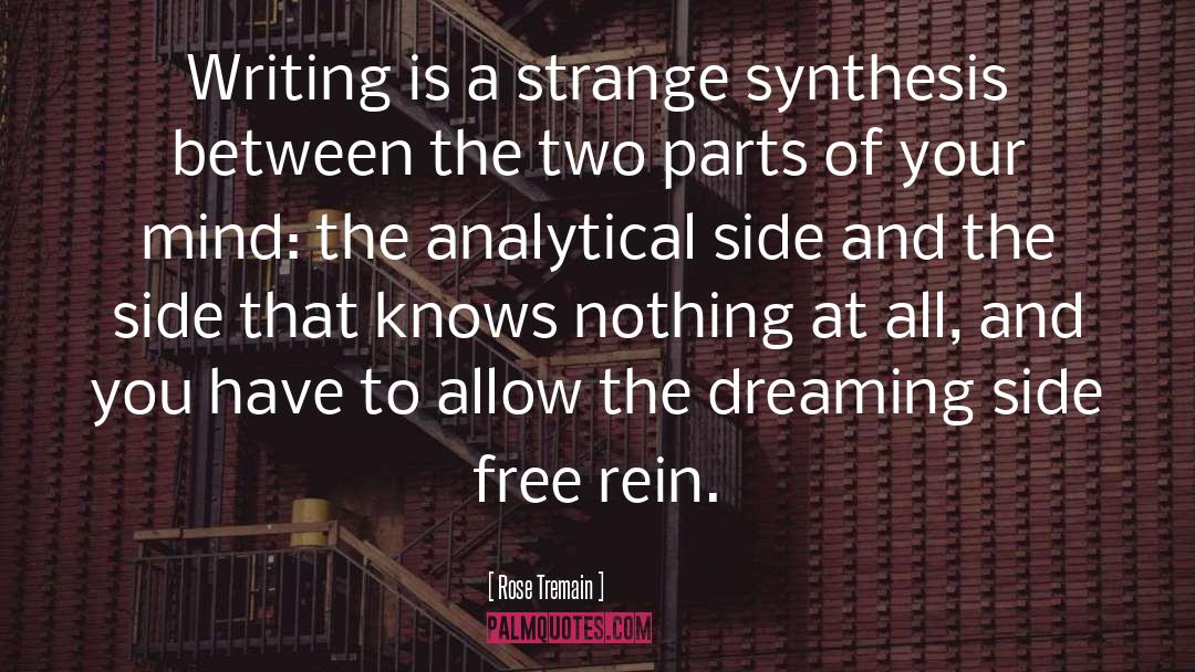 Synthesis quotes by Rose Tremain