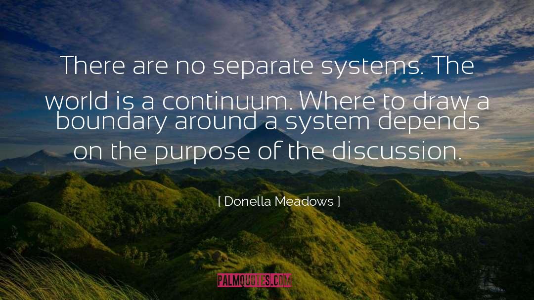System Of Meaning quotes by Donella Meadows