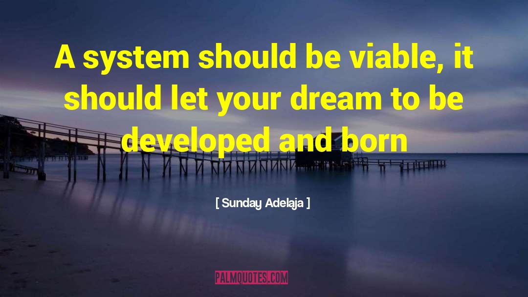 System Viability quotes by Sunday Adelaja