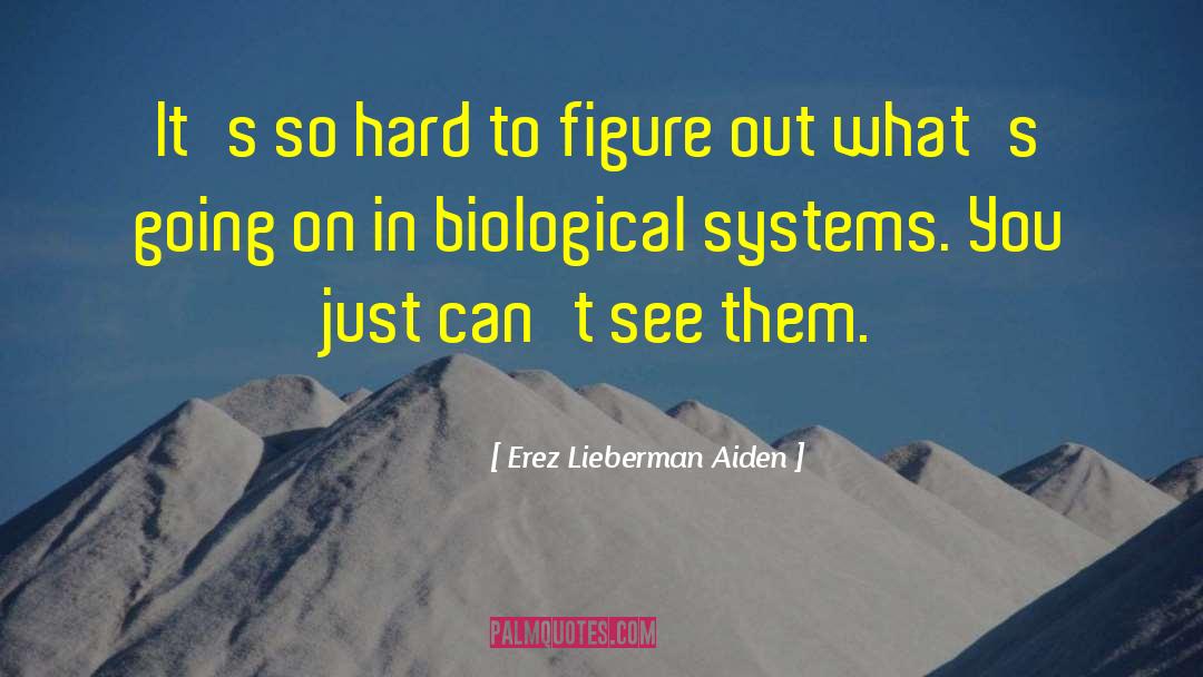 Systems Analyst quotes by Erez Lieberman Aiden