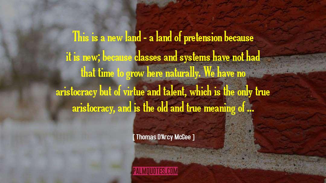 Systems And Processes quotes by Thomas D'Arcy McGee