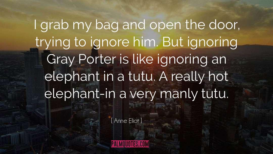 T Bag quotes by Anne Eliot