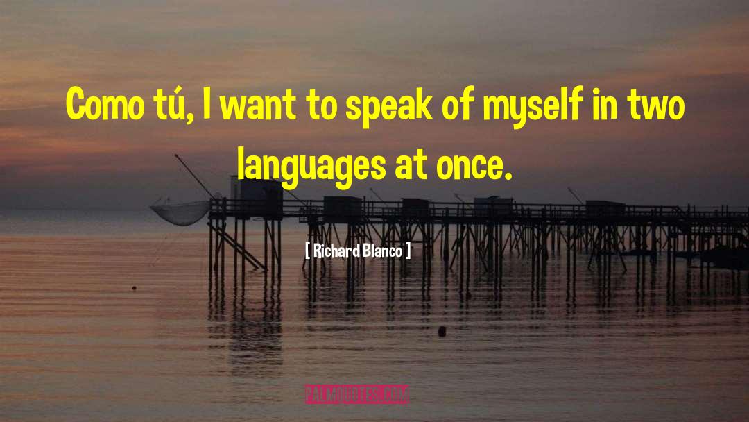 T C3 Bcrkiye quotes by Richard Blanco