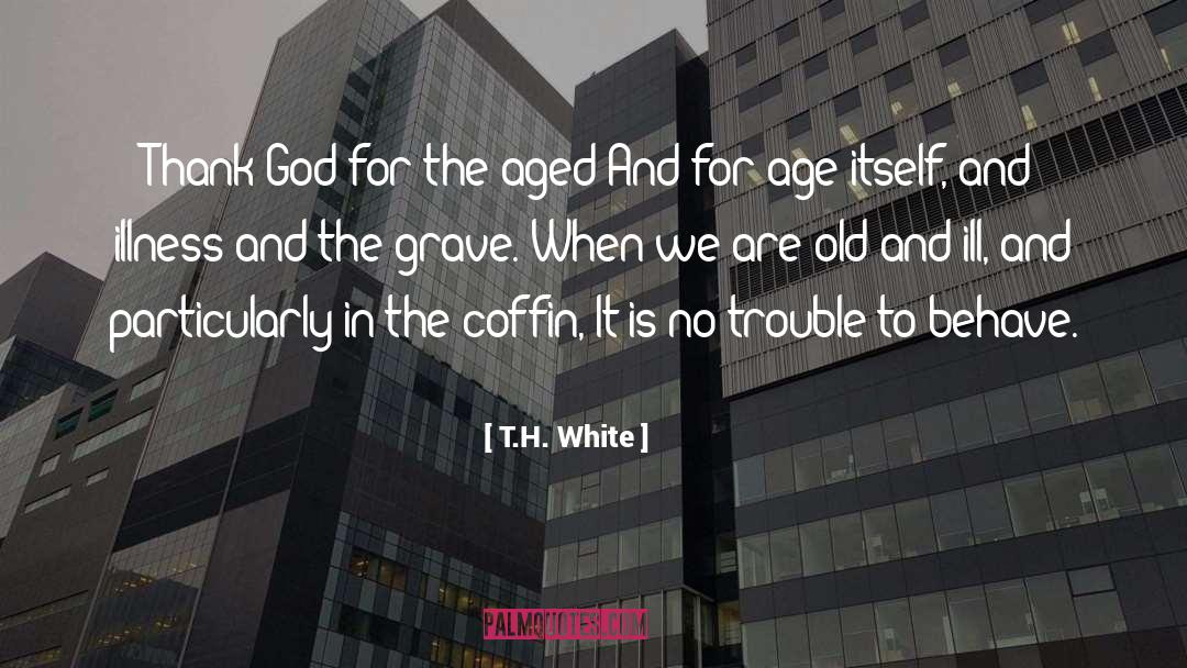 T H White quotes by T.H. White