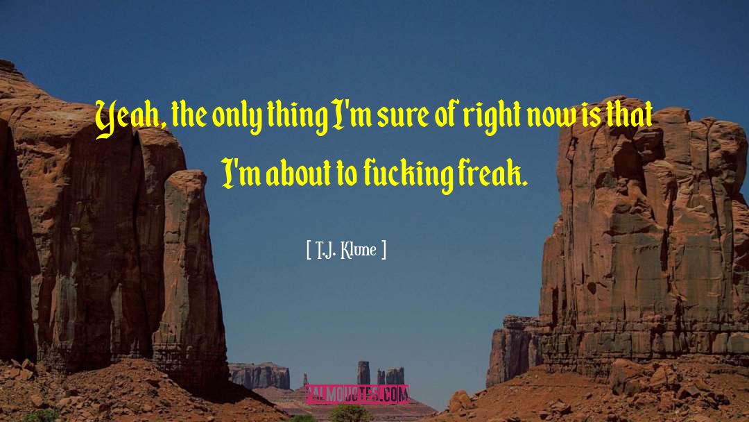 T J quotes by T.J. Klune