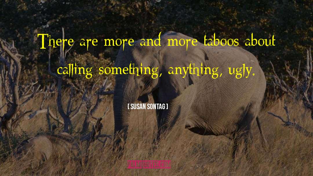 Taboos quotes by Susan Sontag