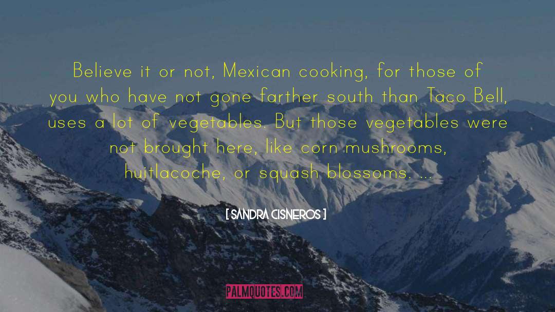 Tacos quotes by Sandra Cisneros
