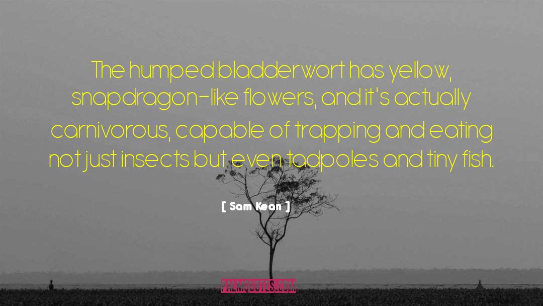 Tadpoles quotes by Sam Kean