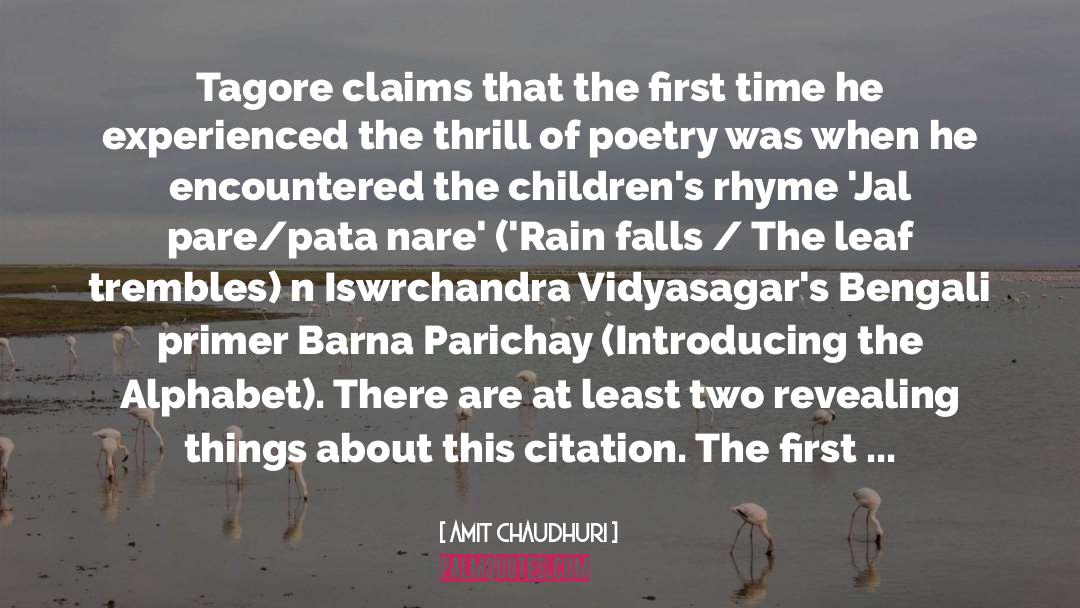 Tagore quotes by Amit Chaudhuri