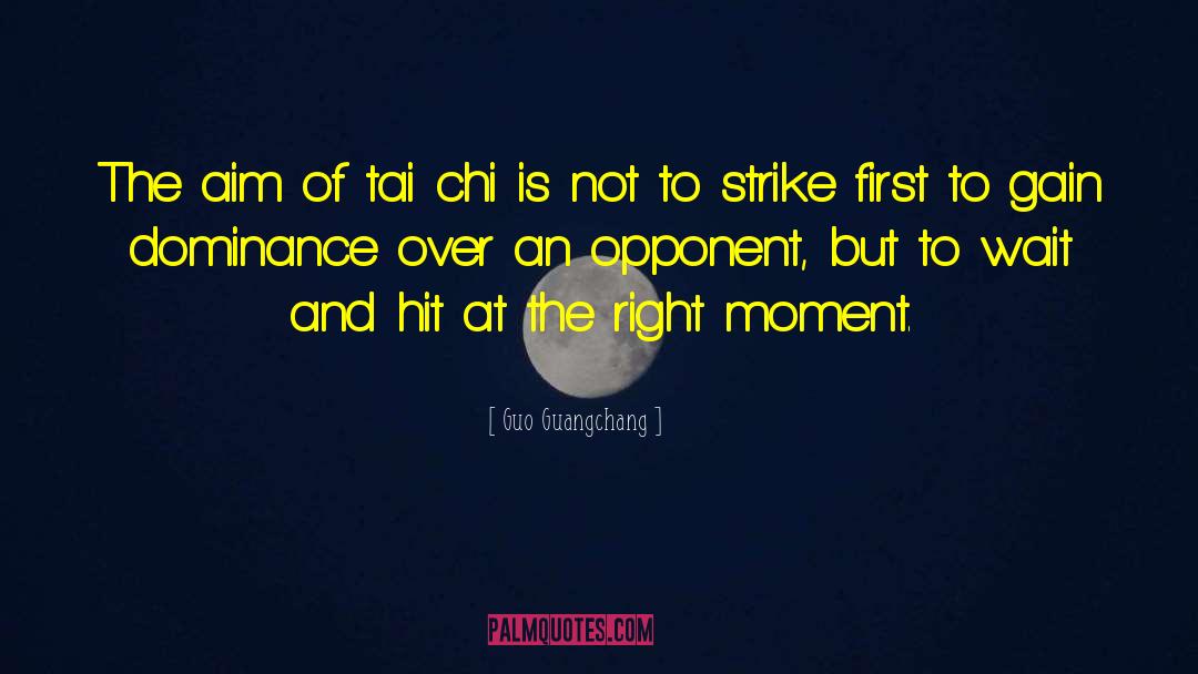 Tai Chi quotes by Guo Guangchang