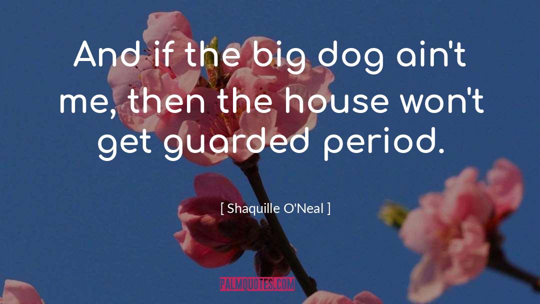 Tailless Dog quotes by Shaquille O'Neal