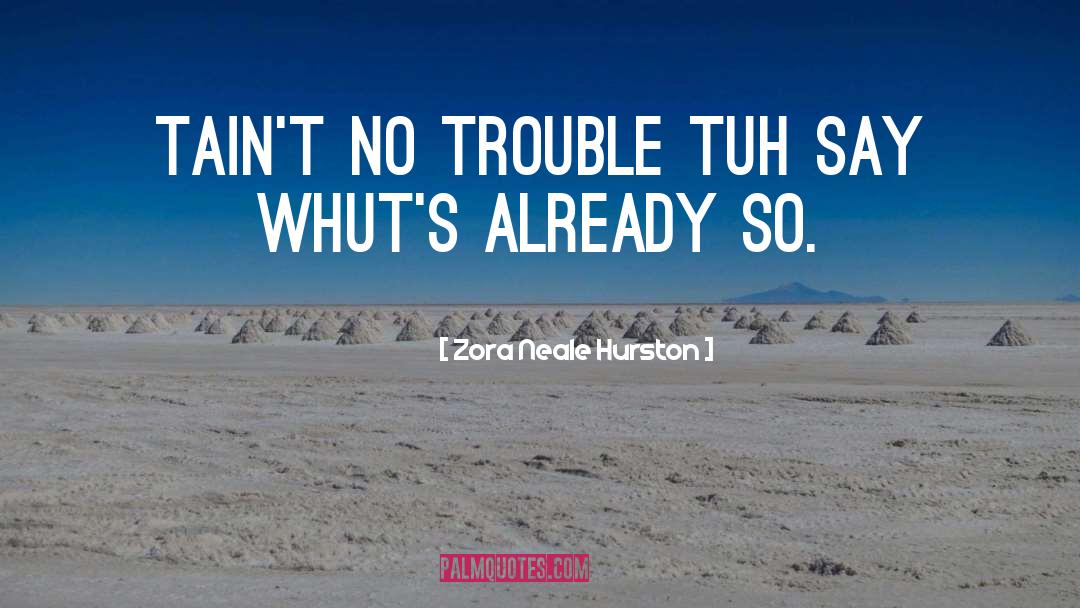 Taint quotes by Zora Neale Hurston