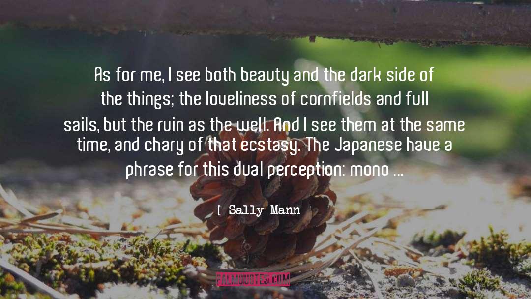 Taisho Japanese quotes by Sally Mann