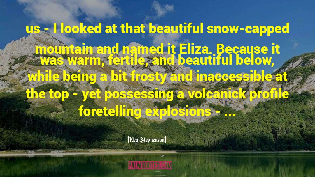 Taiwanese Mountain quotes by Neal Stephenson