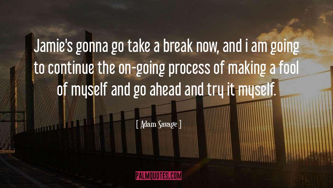 Take A Break quotes by Adam Savage