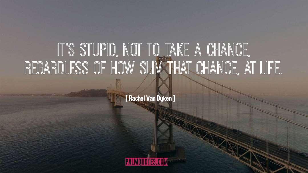 Take A Chance quotes by Rachel Van Dyken