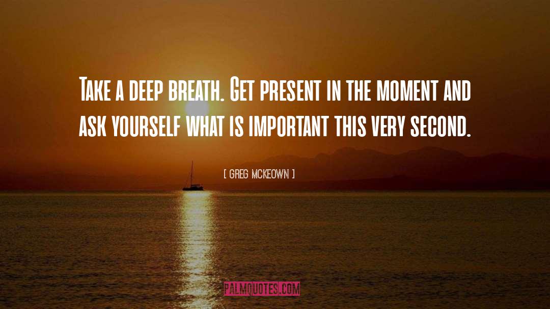 Take A Deep Breath quotes by Greg McKeown