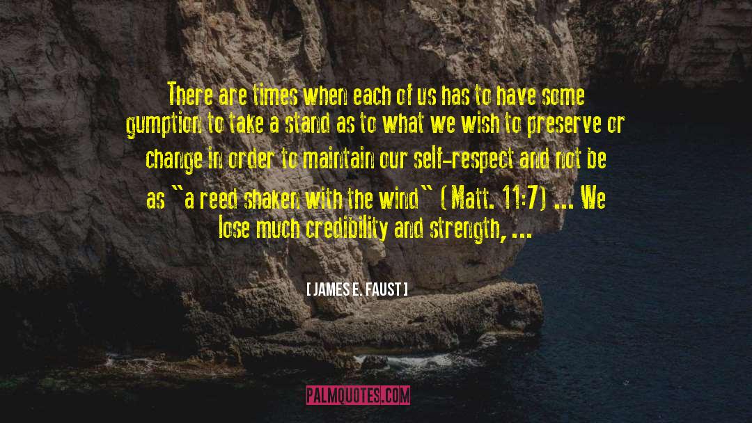 Take A Stand quotes by James E. Faust
