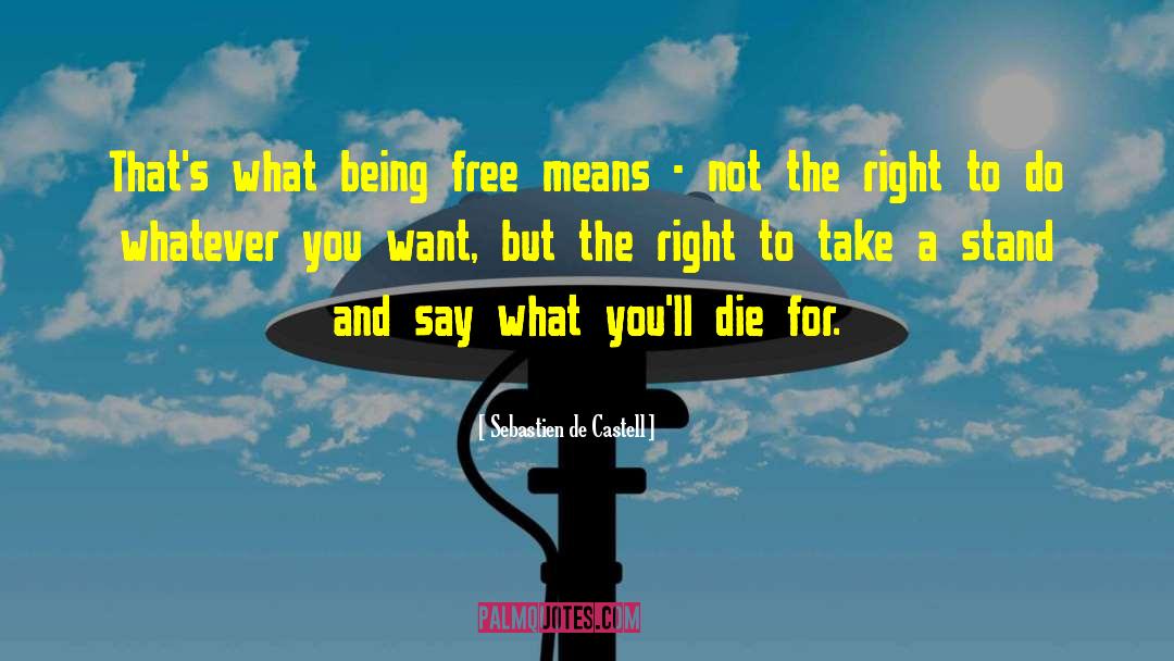 Take A Stand quotes by Sebastien De Castell
