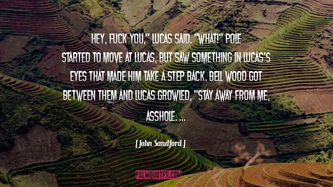 Take A Step Back quotes by John Sandford