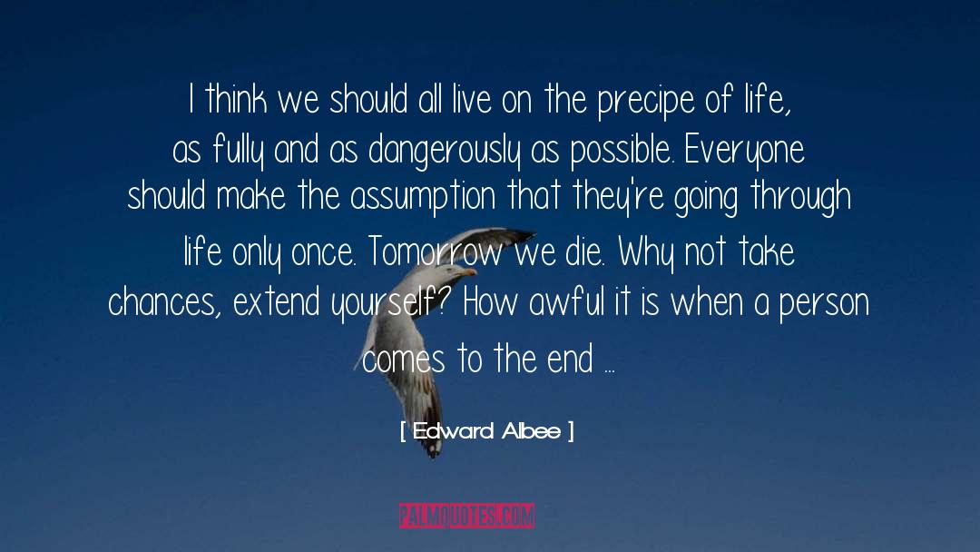 Take Chances quotes by Edward Albee