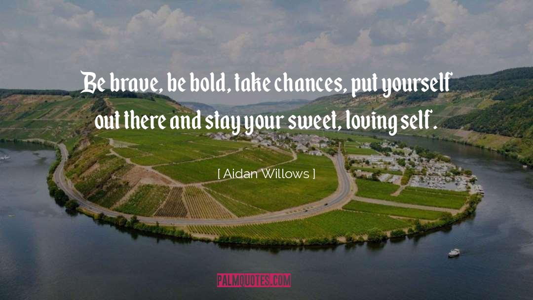 Take Chances quotes by Aidan Willows