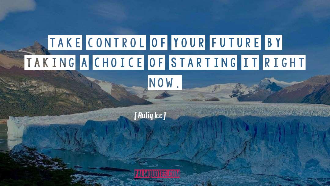 Take Control quotes by Auliq Ice