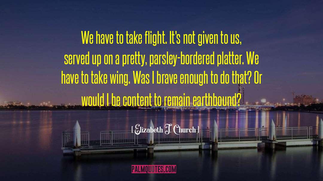 Take Flight quotes by Elizabeth J. Church