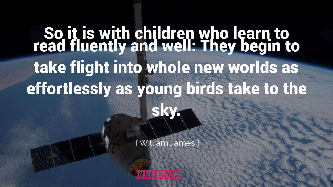 Take Flight quotes by William James