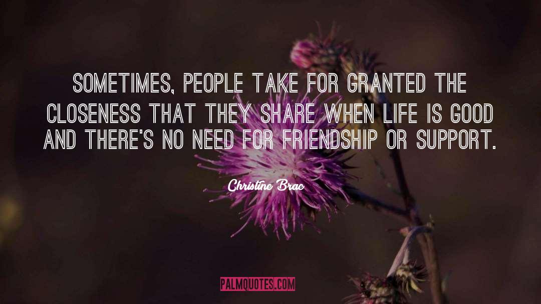 Take For Granted quotes by Christine Brae