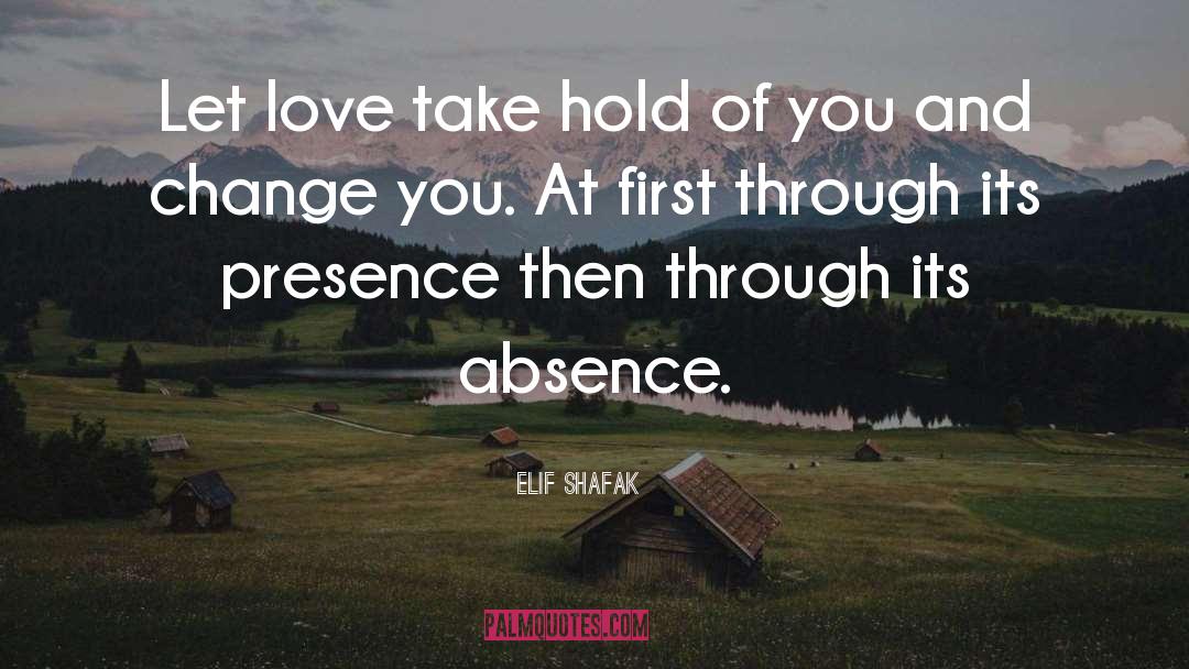 Take Hold quotes by Elif Shafak