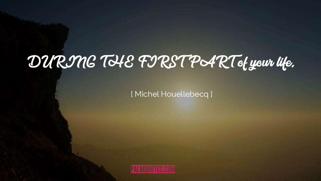 Take It One Day At A Time quotes by Michel Houellebecq