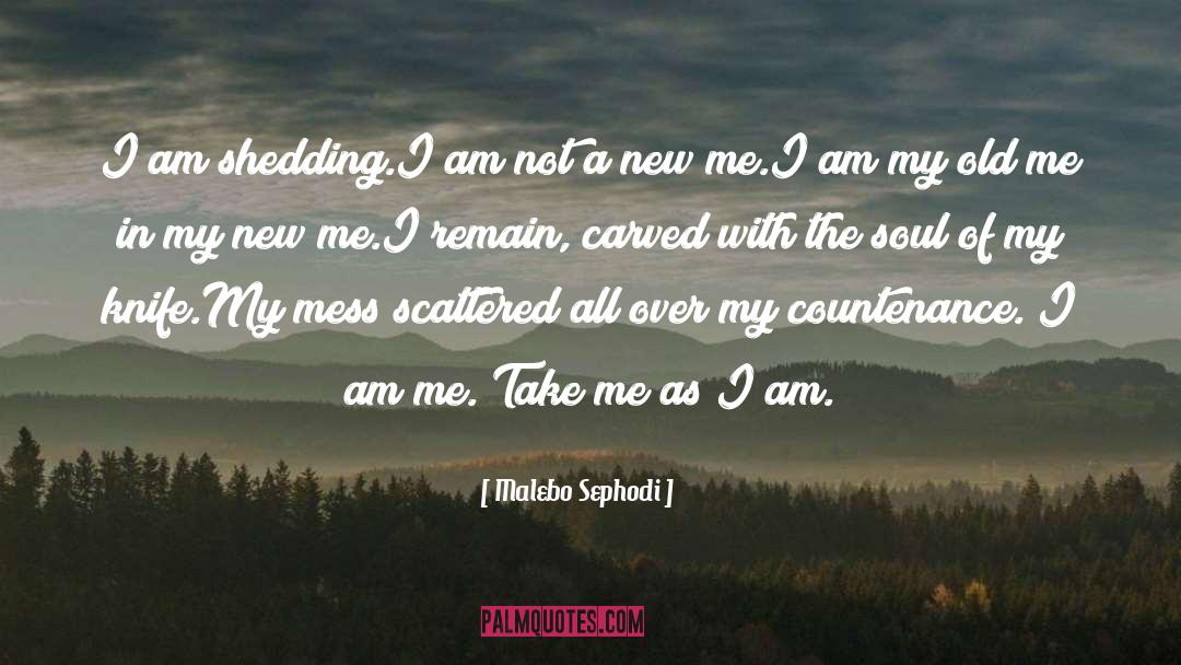 Take Me As I Am quotes by Malebo Sephodi