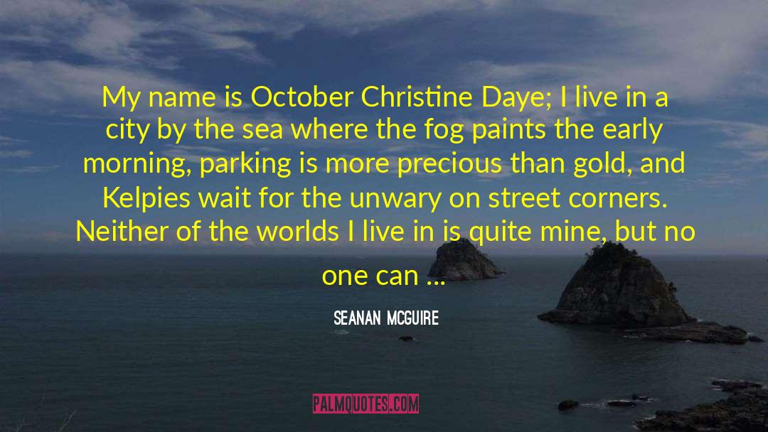 Take Me Wherever quotes by Seanan McGuire