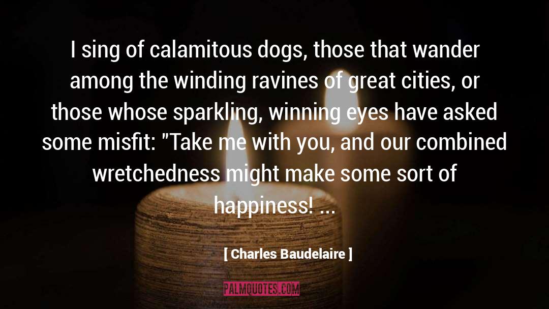 Take Me With You quotes by Charles Baudelaire