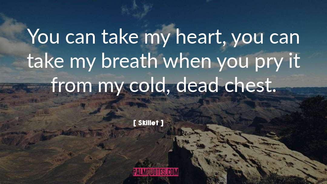Take My Heart quotes by Skillet