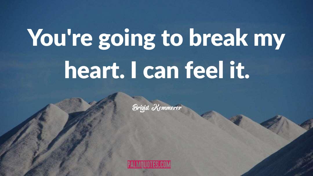 Take My Heart quotes by Brigid Kemmerer