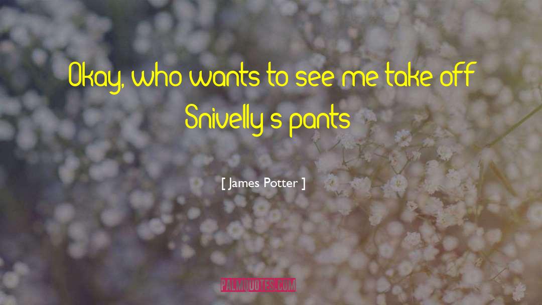 Take Off quotes by James Potter