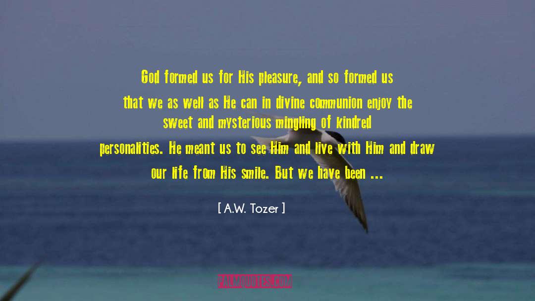 Take Pleasure In Life quotes by A.W. Tozer