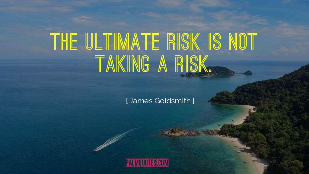 Take Risk Quote quotes by James Goldsmith